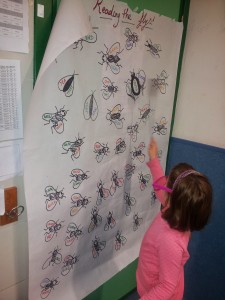 flies (1)