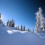 dia-de-nieve-7158