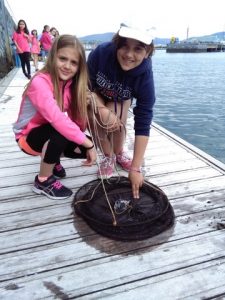 IMG_20160525_170508