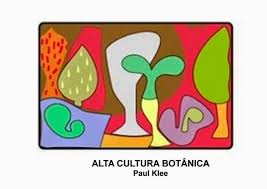 ALTA CULTURA BOTÁNICA, ES MÁGICA